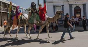 camels in the street by Lisa